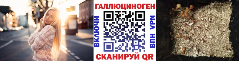 Купить где  Вилючинск  Псилоцибиновые грибы MAGIC MUSHROOMS 