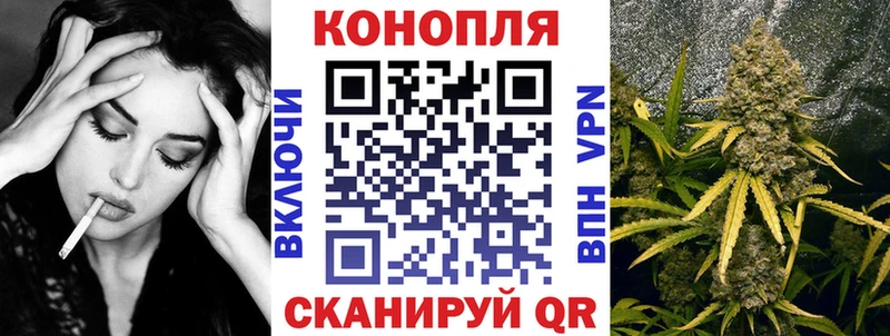 Купить  Вилючинск  Каннабис план 